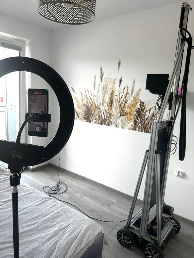 Druk ścienny z motywem trawy pampasowej – naturalny akcent we wnętrzu